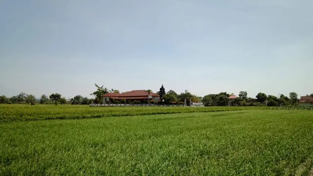 RJIT Ditjen PSP Tingkatkan IP dan Produktivitas Pertanian di Boyolali