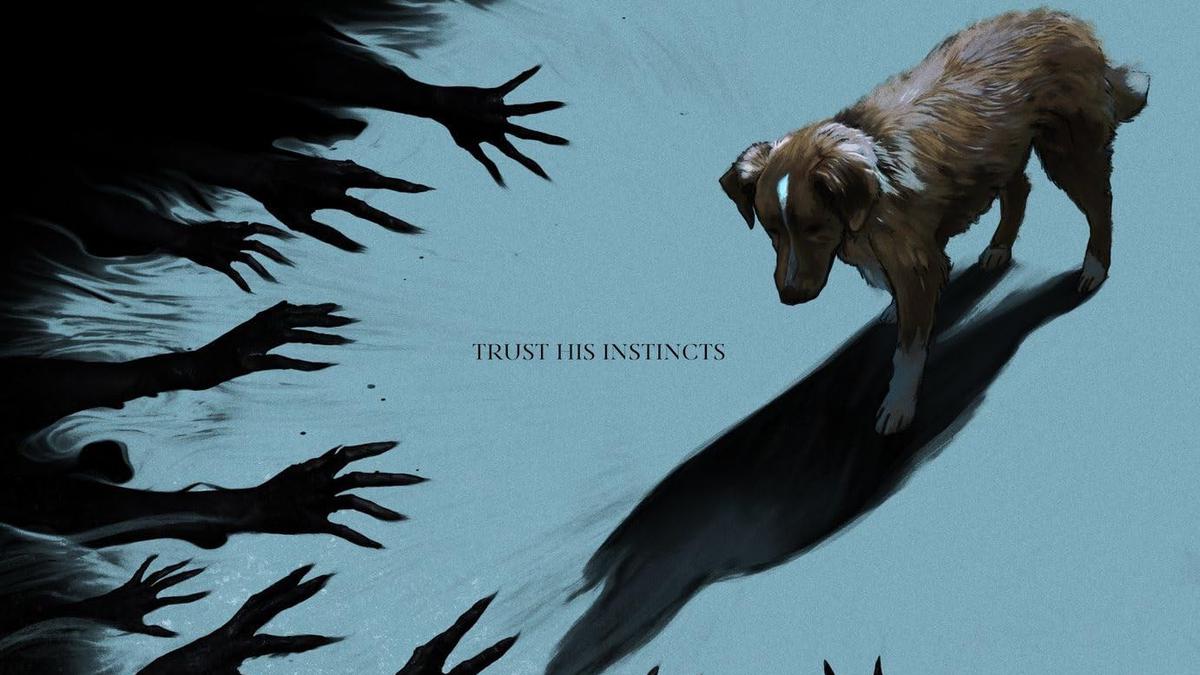 Sinopsis Good Boy, Film Horor dari POV Anjing Peliharaan yang Bikin Penasaran