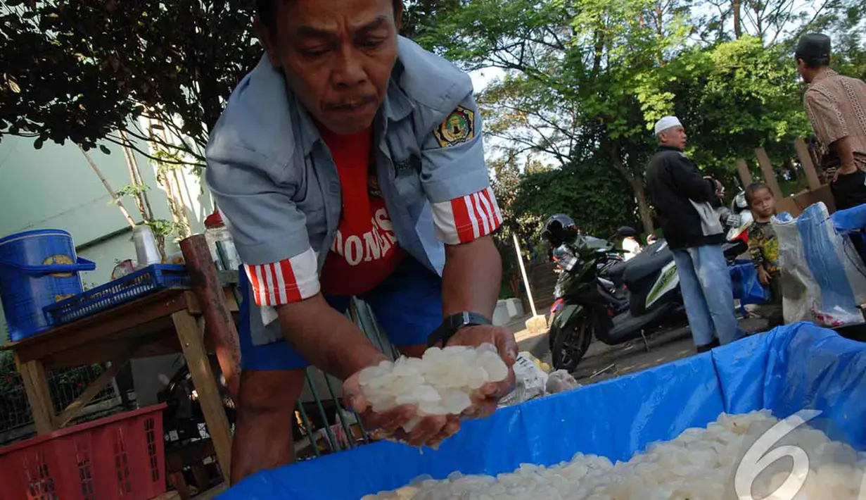 Biasanya kolang kaling dijadikan kolak atau es campur pada saat puasa. Saat lebaran kolang kaling biasa dijadikan manisan dengan warna hijau atau merah, Jakarta, Selasa (1/7/2014) (Liputan6.com/Miftahul Hayat)