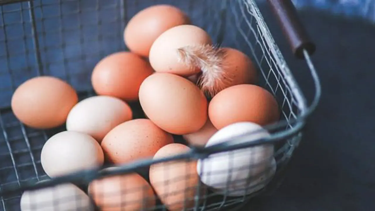 Diet protein/copyright Pixabay.com