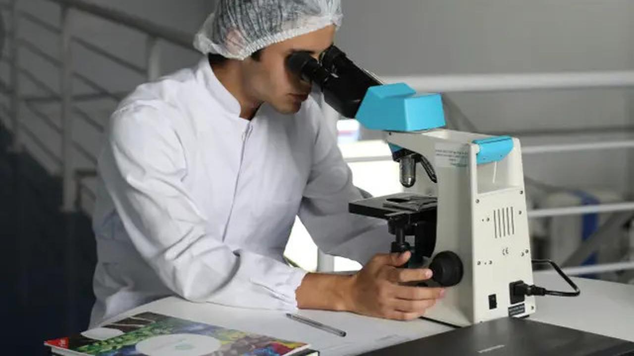 Studi Mengejutkan Ini Kuak Mikroplastik Terdeteksi di Jantung, Otak, dan Kaki Manusia
