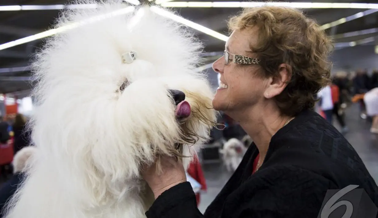 Seorang wanita memeluk anjing yang berjenis Sheepdog saat mempersiapkan diri dalam kontes binatang peliharaan "Hund & Katz" (AFP Photo)