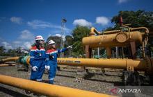 Fakta Unik: 8 Pabrik Pupuk Indonesia Berusia 30 Tahun Lebih, Revitalisasi Industri Pupuk Jadi Kunci Efisiensi Gas Rp1,5 T