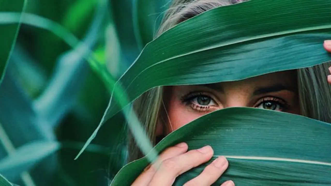 copyright pexels.com/Noelle Otto