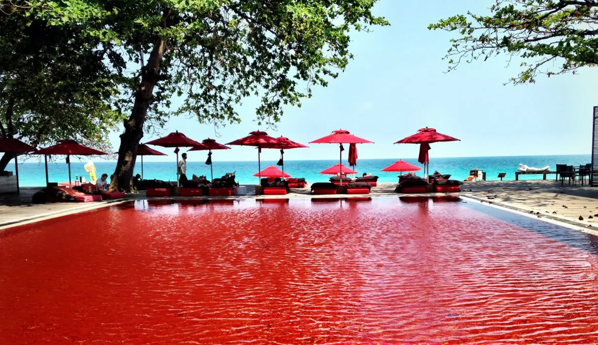 Pernah membayangkan berenang di kolam air darah? Coba anda menginap di Library Hotel, Koh Samui, Thailand. Kolam renang ini berwarna merah darah yang bisa membuat anda merinding untuk berenang didalamnya. (unbiasedwriter.com)