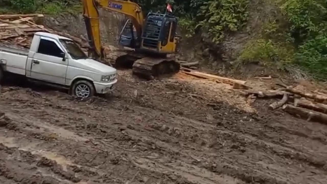 Viral! Rekaman Ilegal Logging di Lampung Bikin Warga Ketakutan