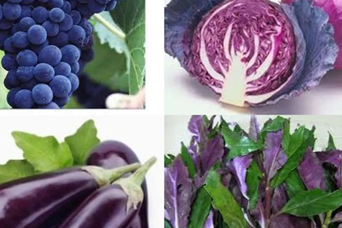 131123buah-sayur.jpg