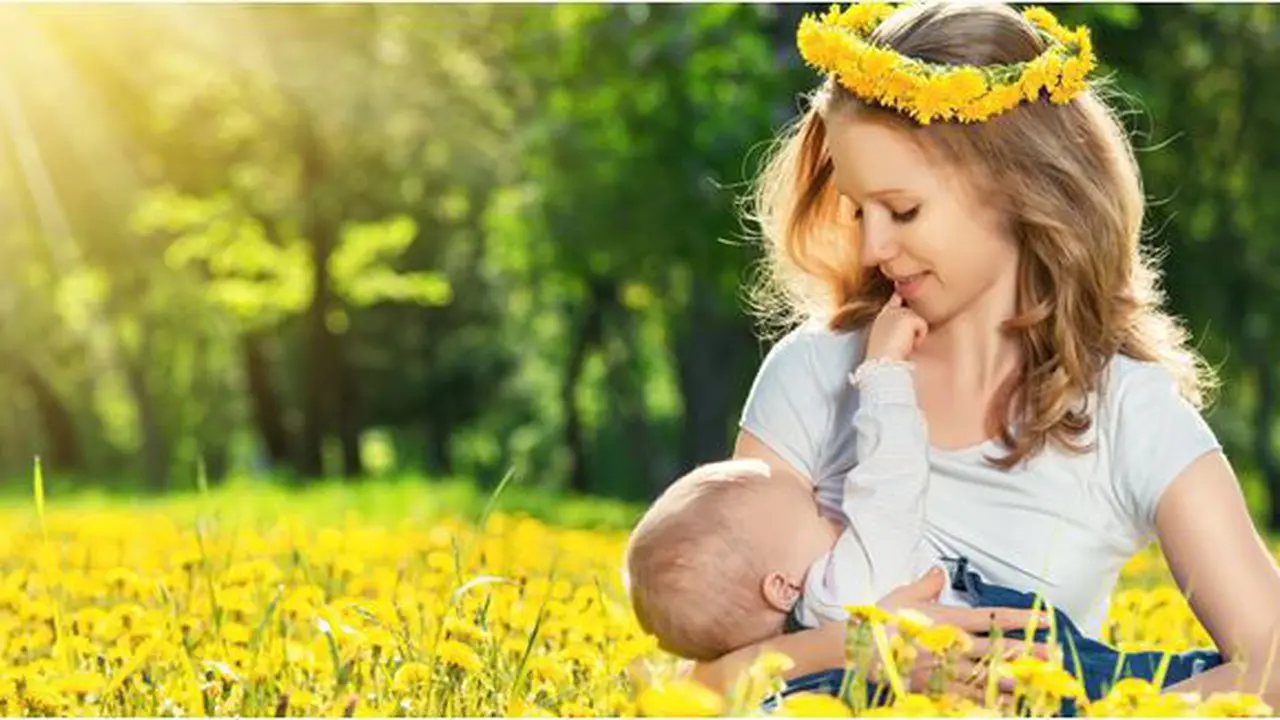 Foto: copyright shutterstock.com