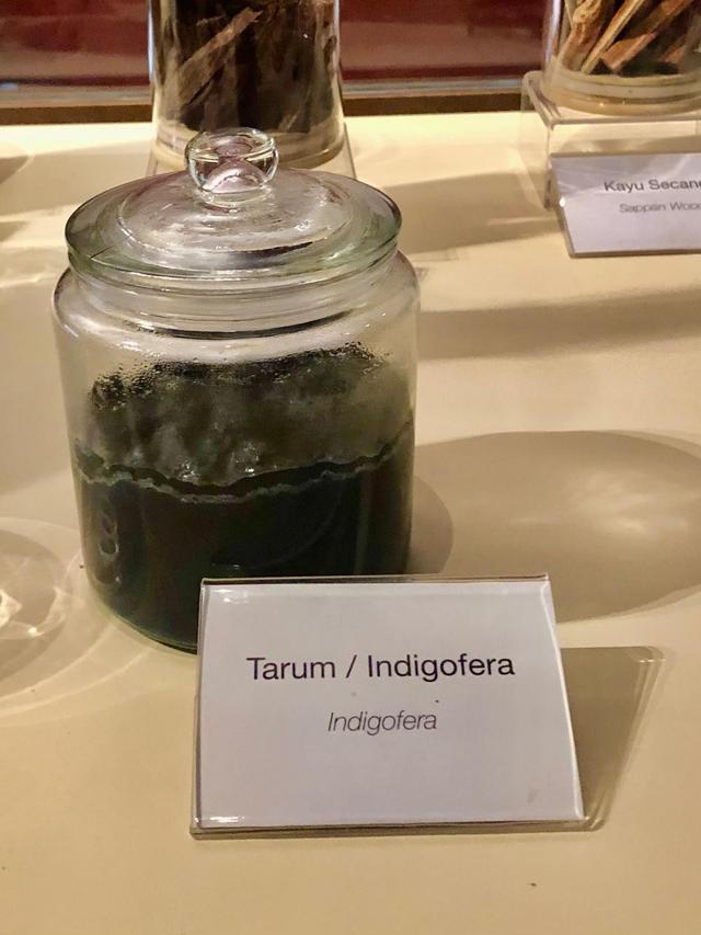 Ilustrasi Indigofera