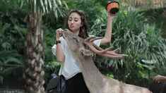 Masih sangat muda, Naomi merupakan artis kelahiran 20 September 1996. Gaya liburan Naomi yang simpel dan sesuai usia selalu berhasil bikin netizen gemas, salah satunya saat di Bali Zoo. (Liputan6.com/IG/@naonomnom)