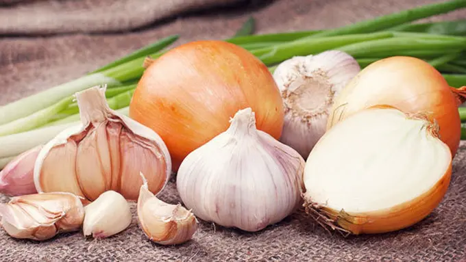 Courtesy ShutterStock.com