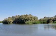 Penampakan Danau Misterius di Pinggiran Kota Mekkah yang Jarang Orang Tahu, Banyak Pohon Tumbuh Subur