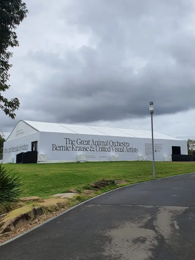 The Great Animal Orchestra