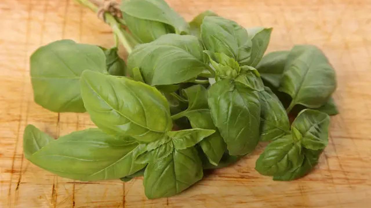 Bumbu Beku vs Bumbu Kering, Mana yang Lebih Tahan Lama?
