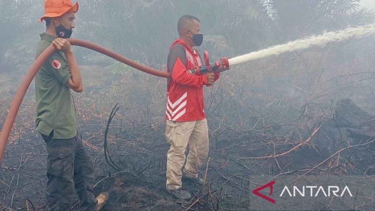 Sudah 2 Hektar Lahan Sawit Terbakar Sejak Selasa, BPBD Nagan Raya Berjibaku Padamkan Api di Suak Puntong