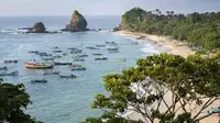 Pemadangan Pantai Papuma Jember dari ketinggian 100 meter (Istimewa)