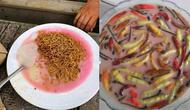 6 Menu Takjil Pakai Es Buah Ini Nyeleneh, Kombinasi Terlalu Kocak (IG/ngakakkocak)