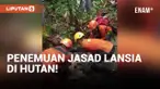 Geger! Penemuan Jasad Nenek-nenek di Hutan