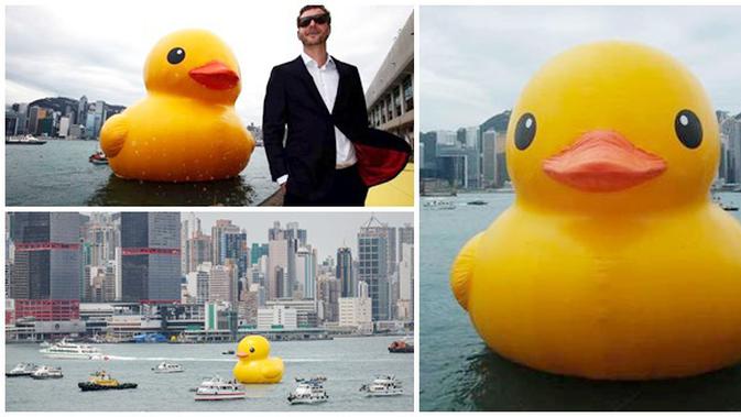 Wah Ada Bebek Raksasa Lucu Berenang Keliling Dunia Lifestyle Fimela Com