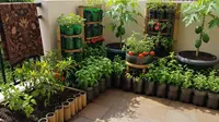 6 Konsep Mini Edible Patio Garden yang Bisa Ditanami Buah dan Sayur