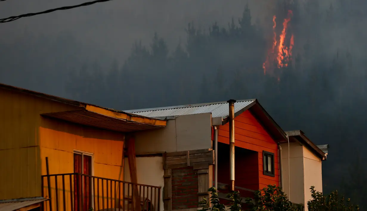 Sebuah helikopter membawa air untuk memadamkan api yang melanda kawasan Dichato Chili, Senin (30/1). Diperkirakan api telah melalap sekitar 680.000 are lahan. (AP Photo / Esteban Felix)