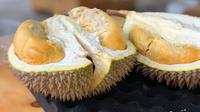 Kabar baik buat seseorang yang tidak tahan dengan bau menyengat dari durian. Thailand kini temukan varietas durian baru yang tanpa berbau. (unsplash/jim teo).