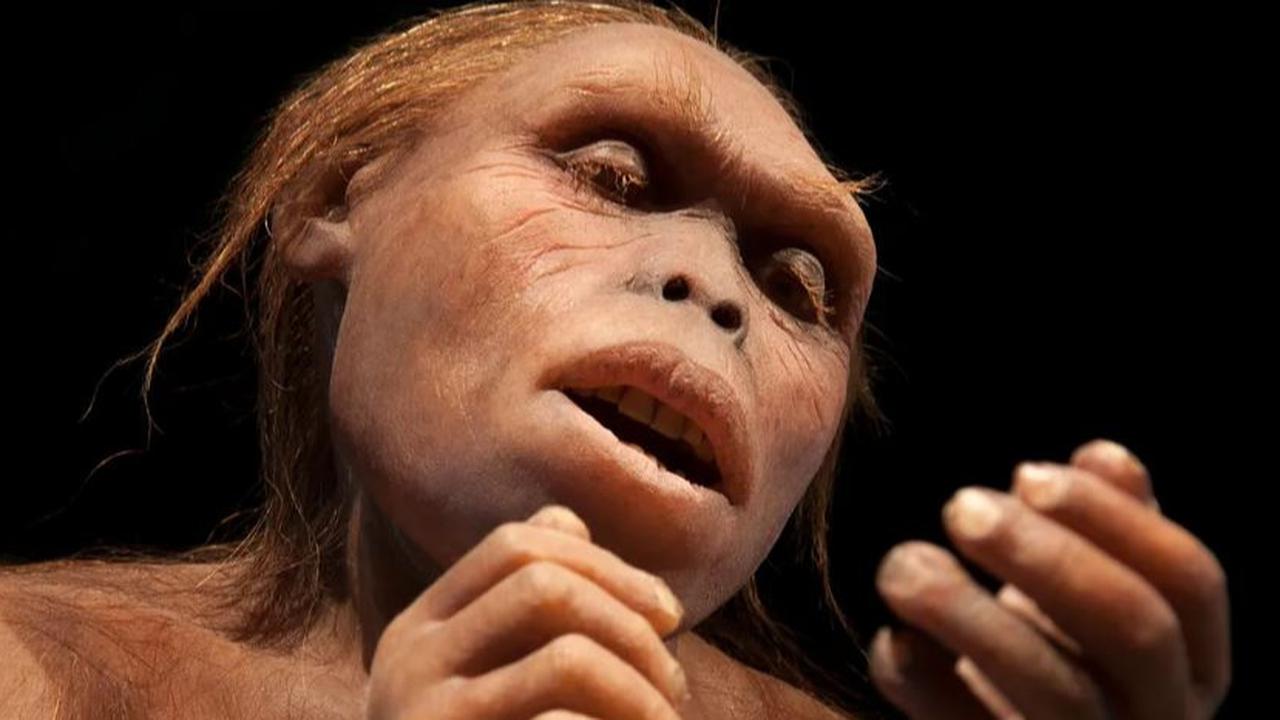Manusia Purba 3,2 Juta Tahun Lalu Berlari Sangat Lambat, Ilmuwan Ungkap Penyebabnya
