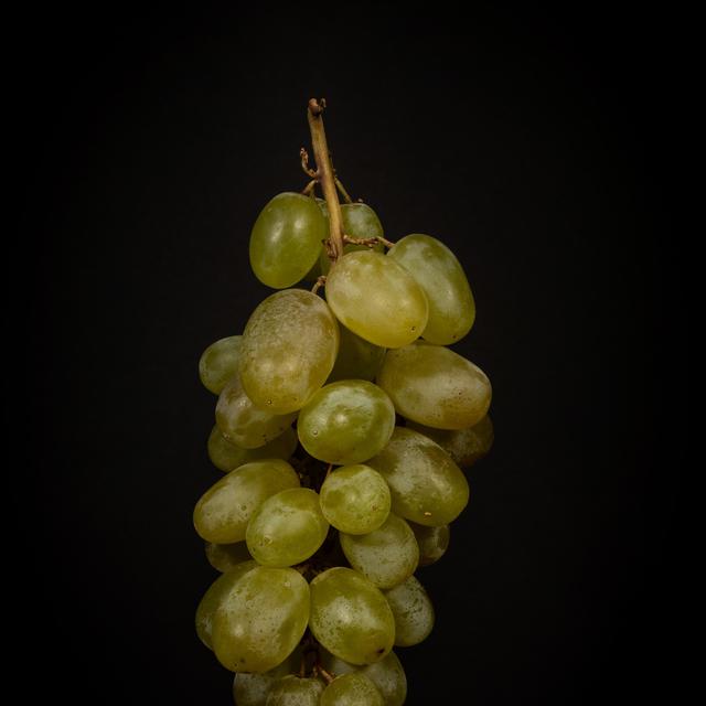 Varietas Unik Anggur Jepang Ukurannya Lebih Besar Dari Telur Ayam Global Liputan6 Com