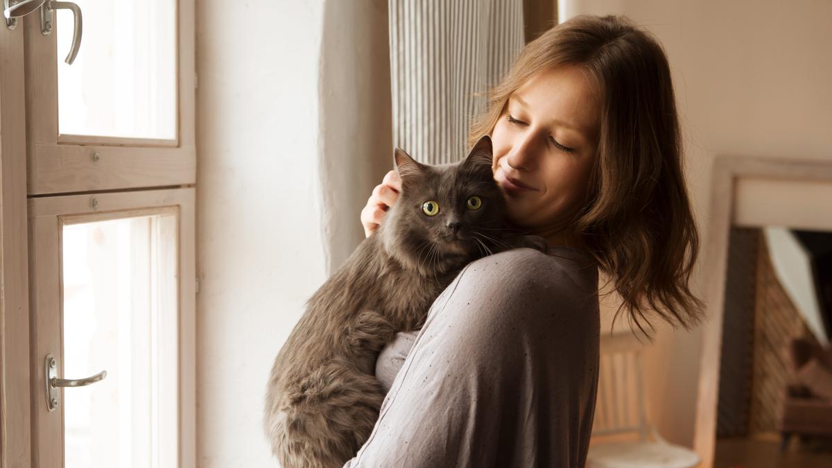 Девушка играет с кошкой. Татьяна куликова зоопсихолог. Адаптация кошки. Кот в адаптации. Как адаптировать кошку.