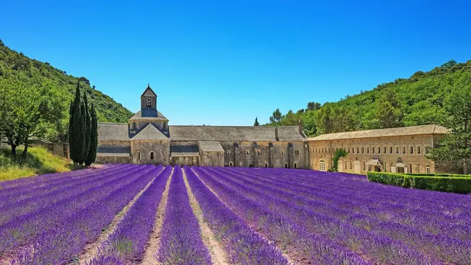 Ritual Wajib Saat Kunjungi Kota Parfum Dunia, Grasse, Perancis