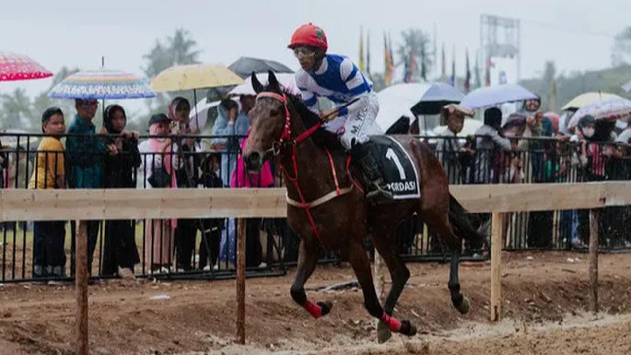 Pacuan Kuda Makin Diminati, Indonesia’s Horse Racing (IHR) Cup II 2025 Payakumbuh Cetak Rekor Pengunjung Terbanyak