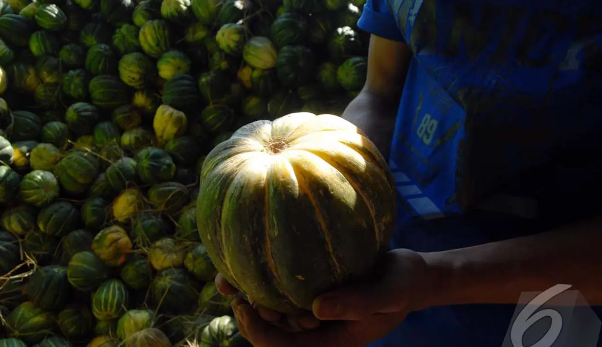 Diakui oleh para penjual, permintaan buah Blewah mengalami peningkatan di bulan Ramadan yang umumnya digunakan untuk olahan menu berbuka puasa, Kramat Jati, Jakarta, Selasa (1/7/2014) (Liputan6.com/Miftahul Hayat)