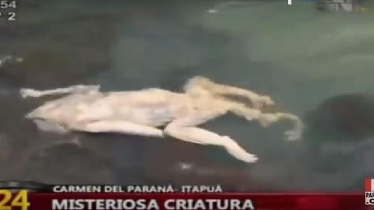 [Video] Sosok dianggap vampir ditemukan mati di Paraguay