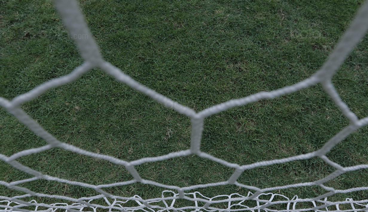 Tampak rumput jenis Zoysia matrella di SUGBK, Senayan, Jakarta, Selasa (8/8/2017). SUGBK menggunakan rumput jenis Zoysia matrella yang merupakan rumput standar FIFA untuk stadion bertaraf internasional. (Bola.com/M Iqbal Ichsan)