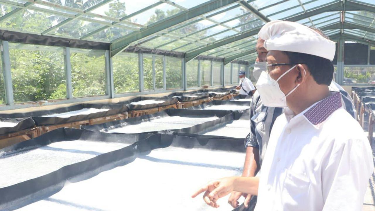 Gubernur Bali, Wayan Koster di Lokasi Pembuatan Garam Lokal Bali