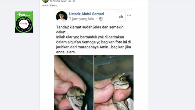 Cek Fakta Liputan6.com menelusuri klaim foto penampakan ular bertanduk tanda kiamat