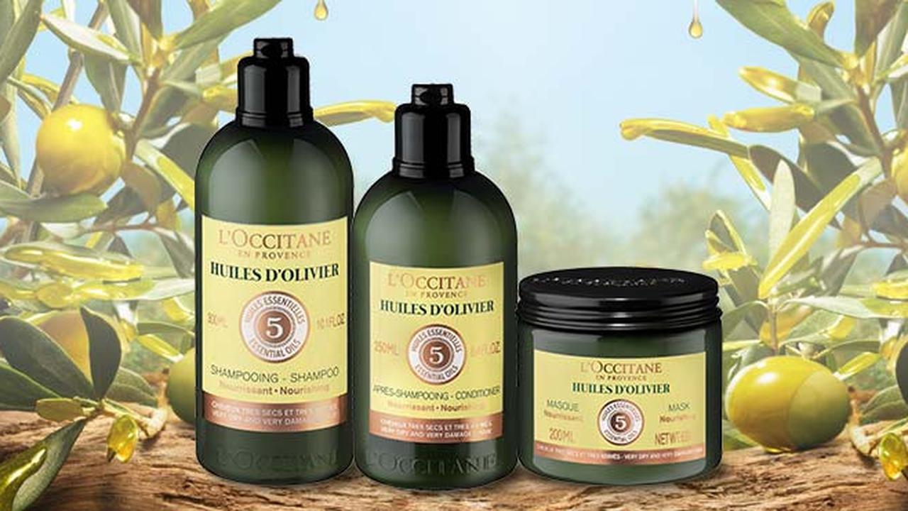 Rambut Bebas Kusut dan Lebih Ternutrisi dengan Zaitun