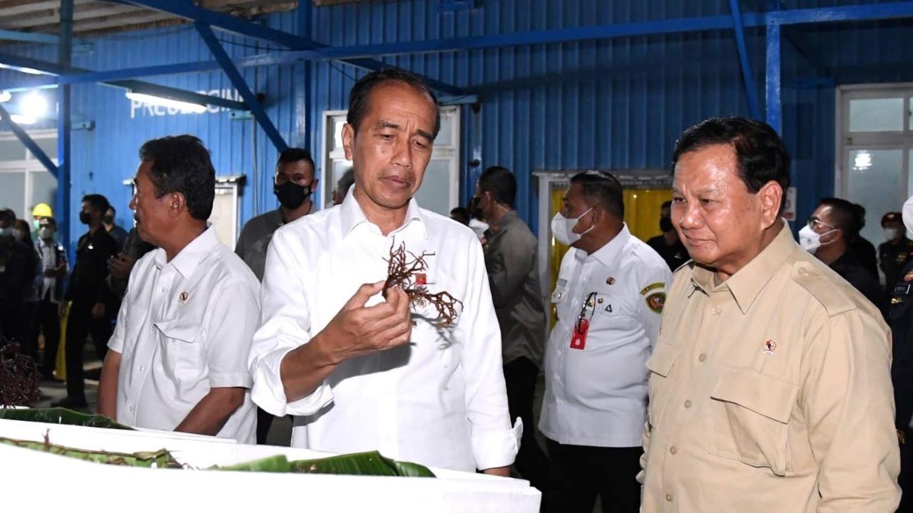 Ditemani Menhan Prabowo Subianto, Presiden Jokowi Tinjau Pengolahan Budidaya Rumput Laut di Maluku