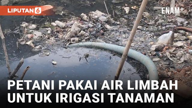 Terdampak Kekeringan, Petani di Brebes Gunakan Air Comberan untuk Airi Tanaman Bawang