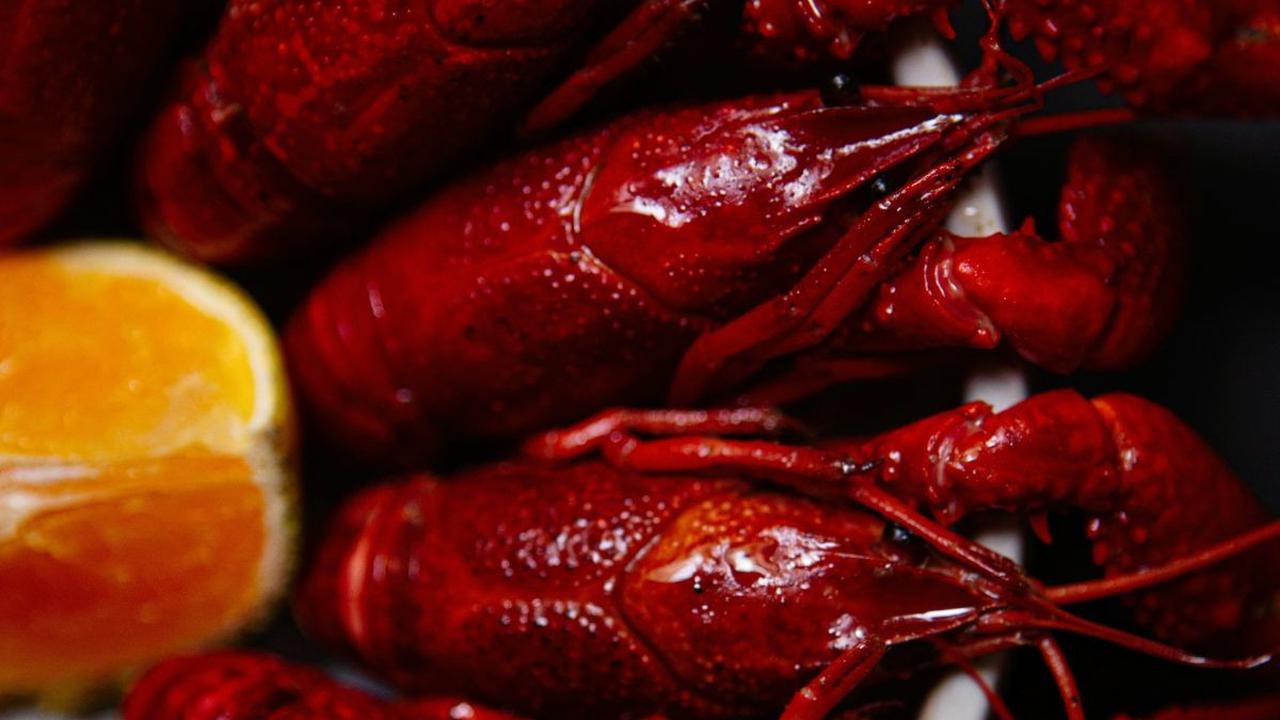 8 Cara Memasak Lobster Aneka Kreasi, Lezat dan Mudah Dipraktikkan