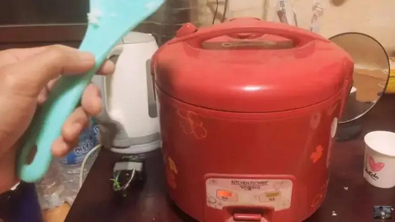 Cara Ampuh Mengatasi Nasi Keras Karena Kurang Air di Rice Cooker