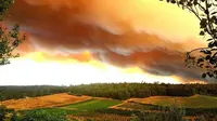 Kebakaran lahan menyebabkan langit di Perth, Australia, berubah menguning bak kulit jeruk. (Departemen Kebakaran dan Pelayanan Darurat Western Australia/BBC)