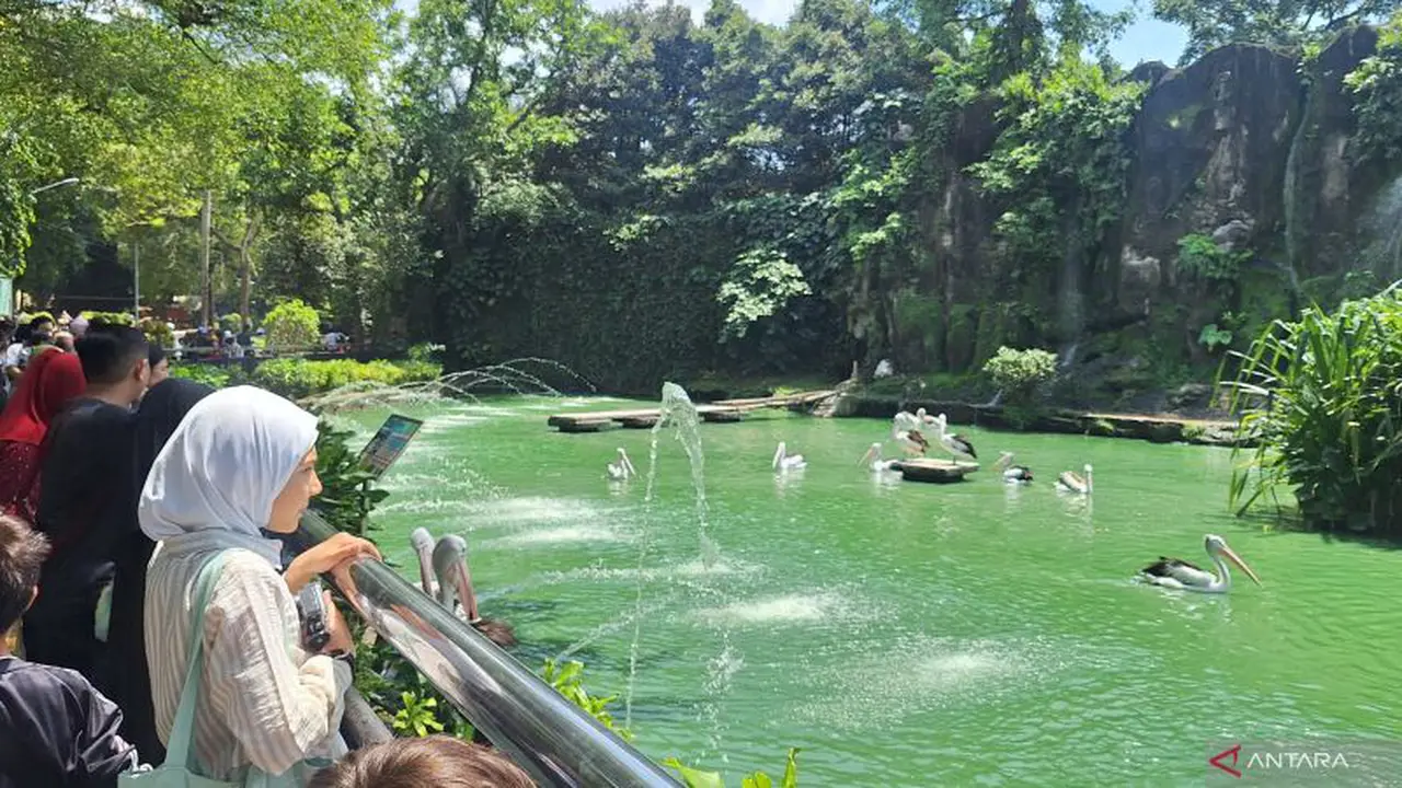 Ragunan saat Libur Natal dan Tahun Baru