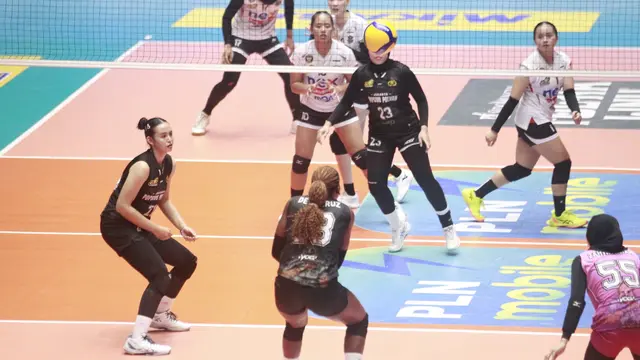 PLN Mobile Proliga 2025