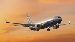 Boeing 737 Hilang Kontak di Pakistan, Menukik Tajam Sebelum Menghilang