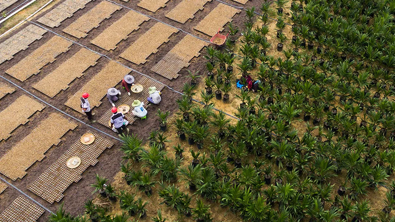 PT Sinar Mas Agro Resources and Technology Tbk atau PT SMART Tbk. (Dok smart-tbk.com)