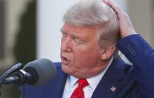 Kehadiran QRIS Buat Trump 'Marah', Cek Perbandingan Nilai Transaksi dengan Visa