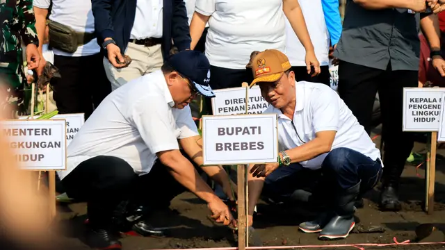 Menteri Lingkungan Hidup/Kepala Badan Pengendalian Lingkungan Hidup (LH/BPLH) Moh Jumhur Hidayat turun langsung memimpin gerakan penanaman mangrove.