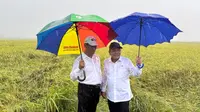 Menteri Pertanian (Mentan) Andi Amran Sulaiman bersama Wakil Menteri Pertahanan (Wamenhan) Muhammad Herindra tetap meninjau jalannya panen raya padi, di Desa Kuper, Distrik Semangga, Kabupaten Merauke, Papua Selatan, Rabu (17/4)/Istimewa.