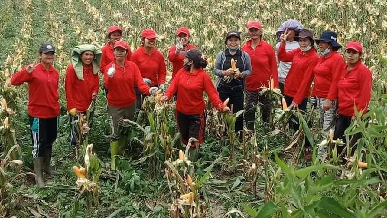 kementan